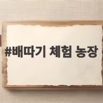 배따기 체험 농장