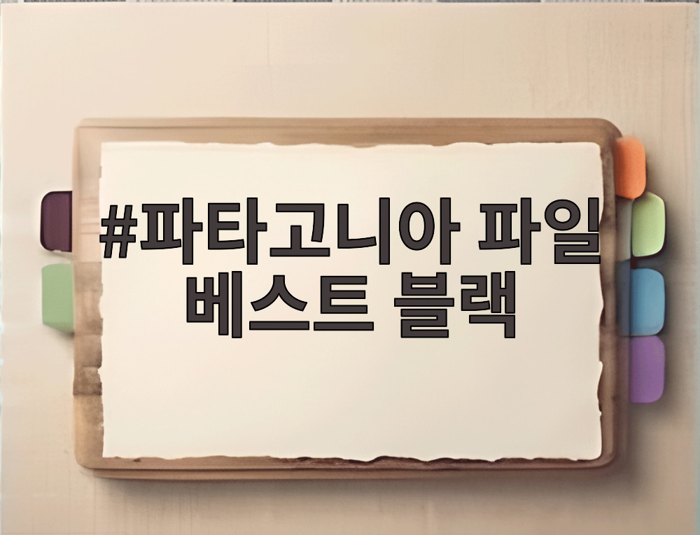 파타고니아 파일 베스트 블랙