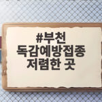 부천 독감예방접종 저렴한 곳 가격 비교하고 일정을 잡는 방법 부천 독감예방접종 저렴한 곳