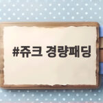 쥬크 경량패딩