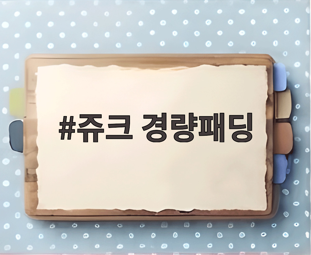 쥬크 경량패딩