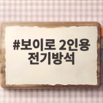 보이로 2인용 전기방석