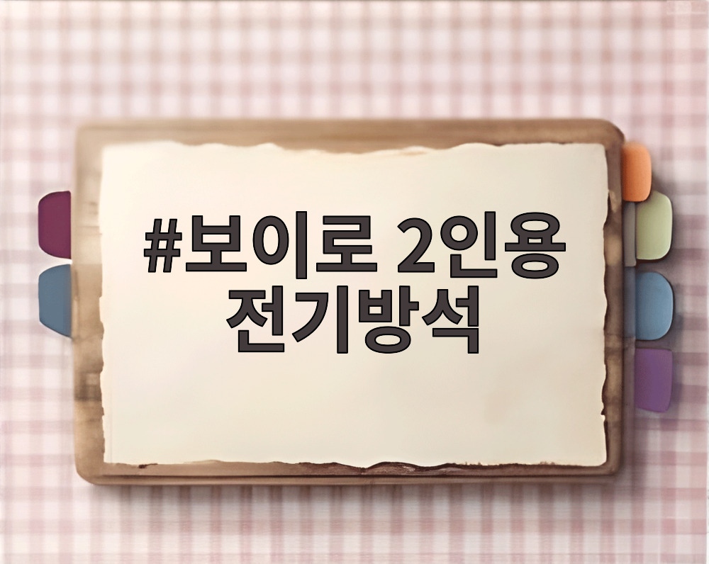 보이로 2인용 전기방석