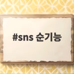 sns 순기능