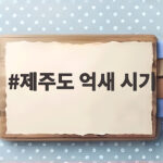 제주도 억새 시기