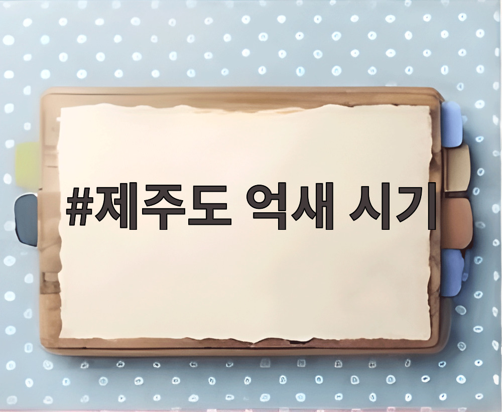 제주도 억새 시기