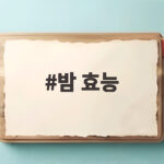 밤 효능 하루 몇 알까지 가을 간식으로 건강 챙기는 법 밤 효능