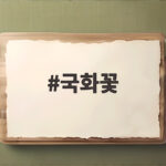 국화꽃
