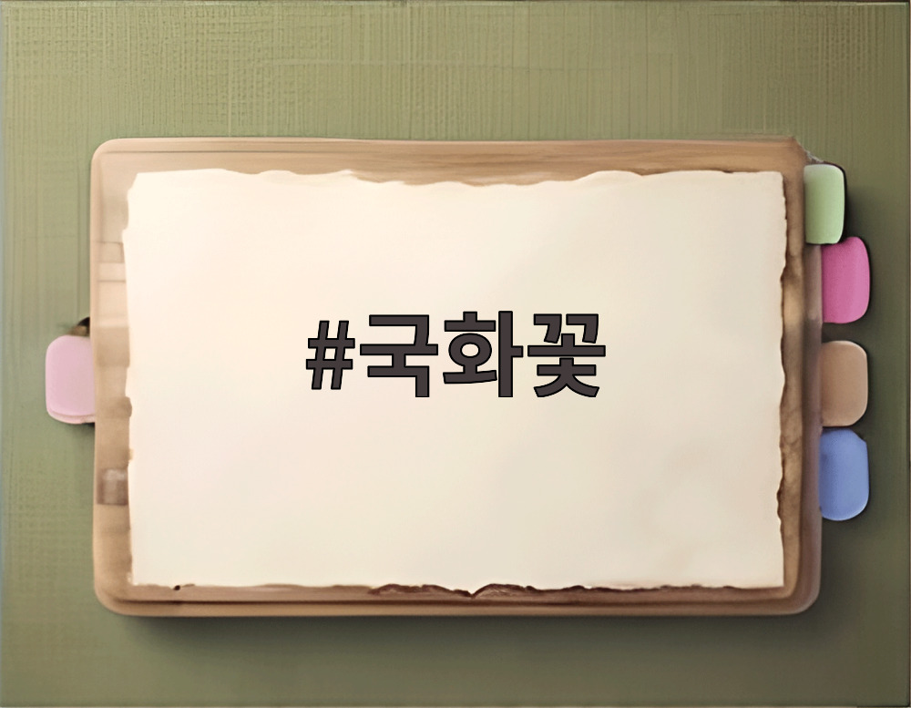 국화꽃