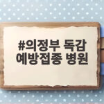 의정부 독감 예방접종 병원