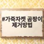 가죽자켓 곰팡이 제거방법