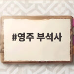 영주 부석사 단풍철 주차 걱정 없이 천년 고찰을 즐기는 법 영주 부석사