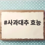 사과대추 효능 제대로 알고 먹는 가을 제철 과일의 비밀 사과대추 효능