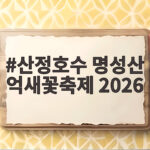 산정호수 명성산 억새꽃축제 2026 일정부터 주차까지 산정호수 명성산 억새꽃축제 2026