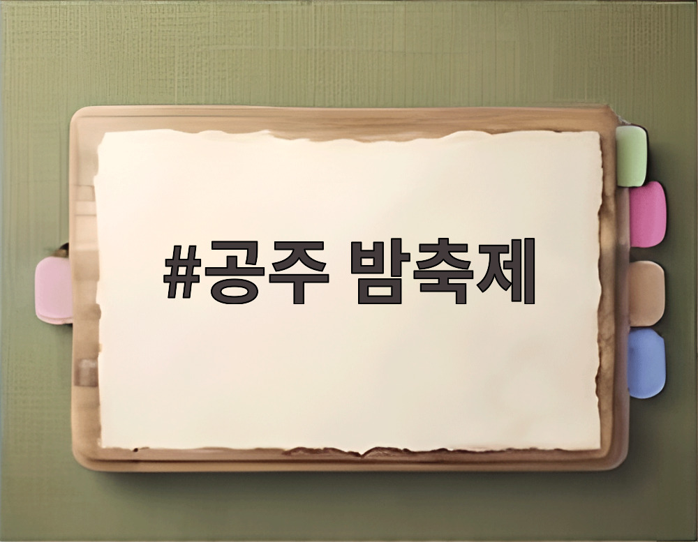 공주 밤축제