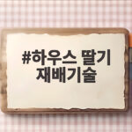 하우스 딸기 재배기술
