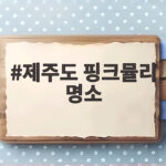 제주도 핑크뮬리 명소 10월 방문 전에 알면 좋은 이야기 제주도 핑크뮬리 명소