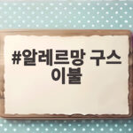 알레르망 구스 이불
