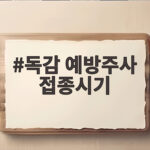 독감 예방주사 접종시기 10월 중순이 정답인 이유와 무료 대상자 독감 예방주사 접종시기