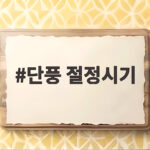 단풍 절정시기