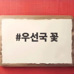 우선국 꽃 이름 유래부터 키우는 법까지 보라빛 이야기 우선국 꽃