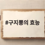 구지뽕의 효능 제대로 누리려면 지금 먹는 방법이 중요합니다 구지뽕의 효능
