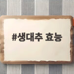 생대추 효능