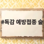 독감 예방접종 술