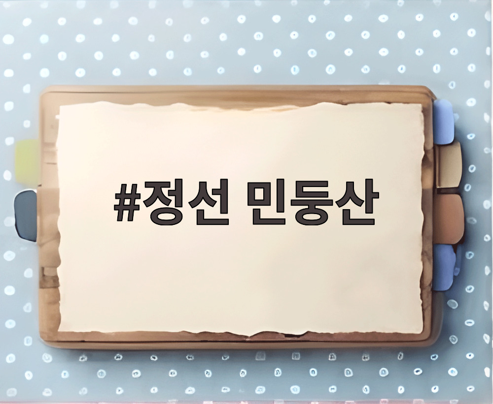 정선 민둥산