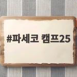 파세코 캠프25 동계 캠핑 난로 이렇게 고르면 후회 없습니다 파세코 캠프25