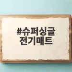 슈퍼싱글 전기매트