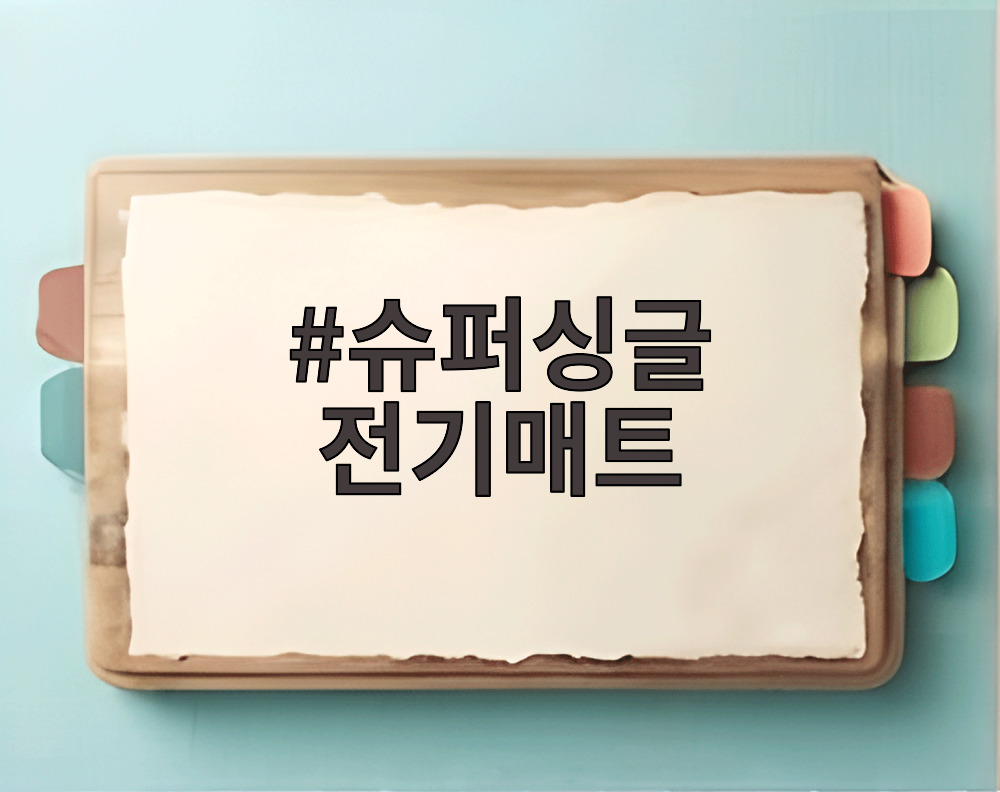 슈퍼싱글 전기매트