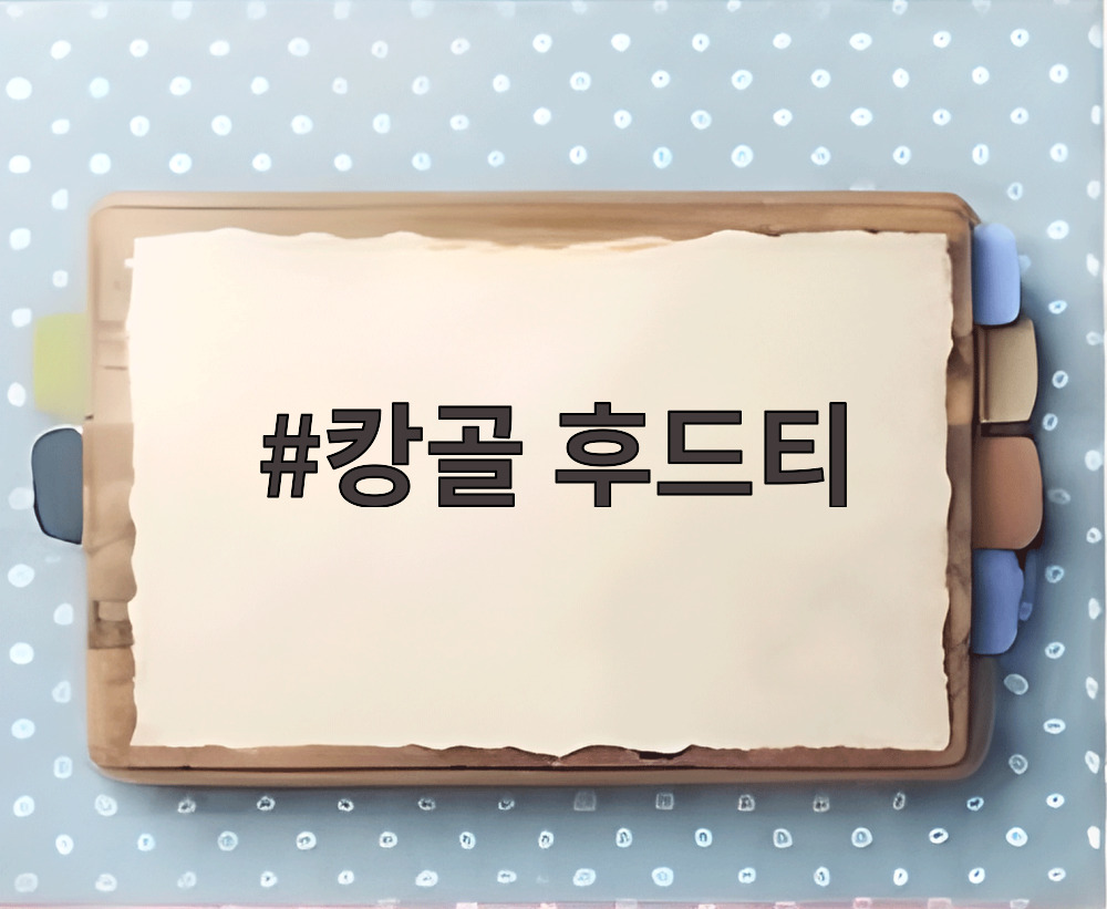 캉골 후드티