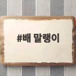 배 말랭이 한 봉지로 언제 어디서나 출출함 달래는 실온 보관 간식 배 말랭이