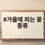 가을에 피는 꽃 종류