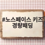 노스페이스 키즈 경량패딩 품절 대란 이유와 사이즈 고르는 법 노스페이스 키즈 경량패딩