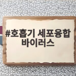 호흡기 세포융합 바이러스 영유아와 성인 모두 주의해야 하는 이유 호흡기 세포융합 바이러스