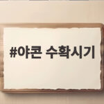 야콘 수확시기 언제가 좋을까 서리 전에 캐야 하는 이유와 보관법 야콘 수확시기