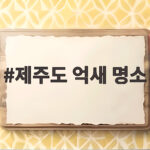 제주도 억새 명소
