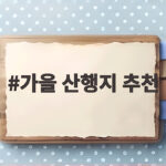 가을 산행지 추천 10월에 꼭 가야 할 은빛 억새 명산 가을 산행지 추천