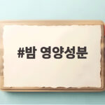 밤 영양성분 알고 먹으면 좋은 이유와 하루 적당량까지 한 번에 정리 밤 영양성분