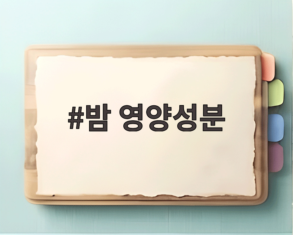 밤 영양성분