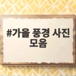 가을 풍경 사진 모음