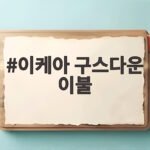 이케아 구스다운 이불