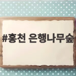 홍천 은행나무숲