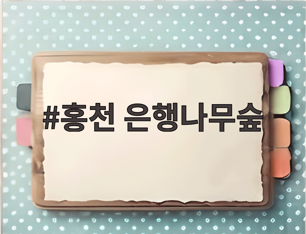 홍천 은행나무숲
