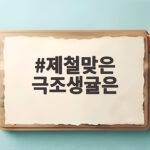제철맞은 극조생귤은