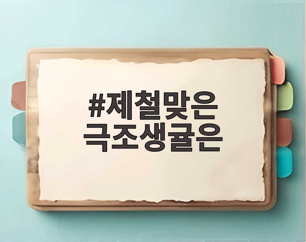 제철맞은 극조생귤은