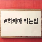 히카마 먹는법 생으로 먹는 멕시코감자 아삭한 식감의 비밀 히카마 먹는법