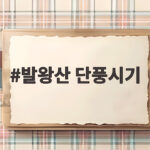 발왕산 단풍시기 절정 놓치지 않는 평창 가을 여행 발왕산 단풍시기